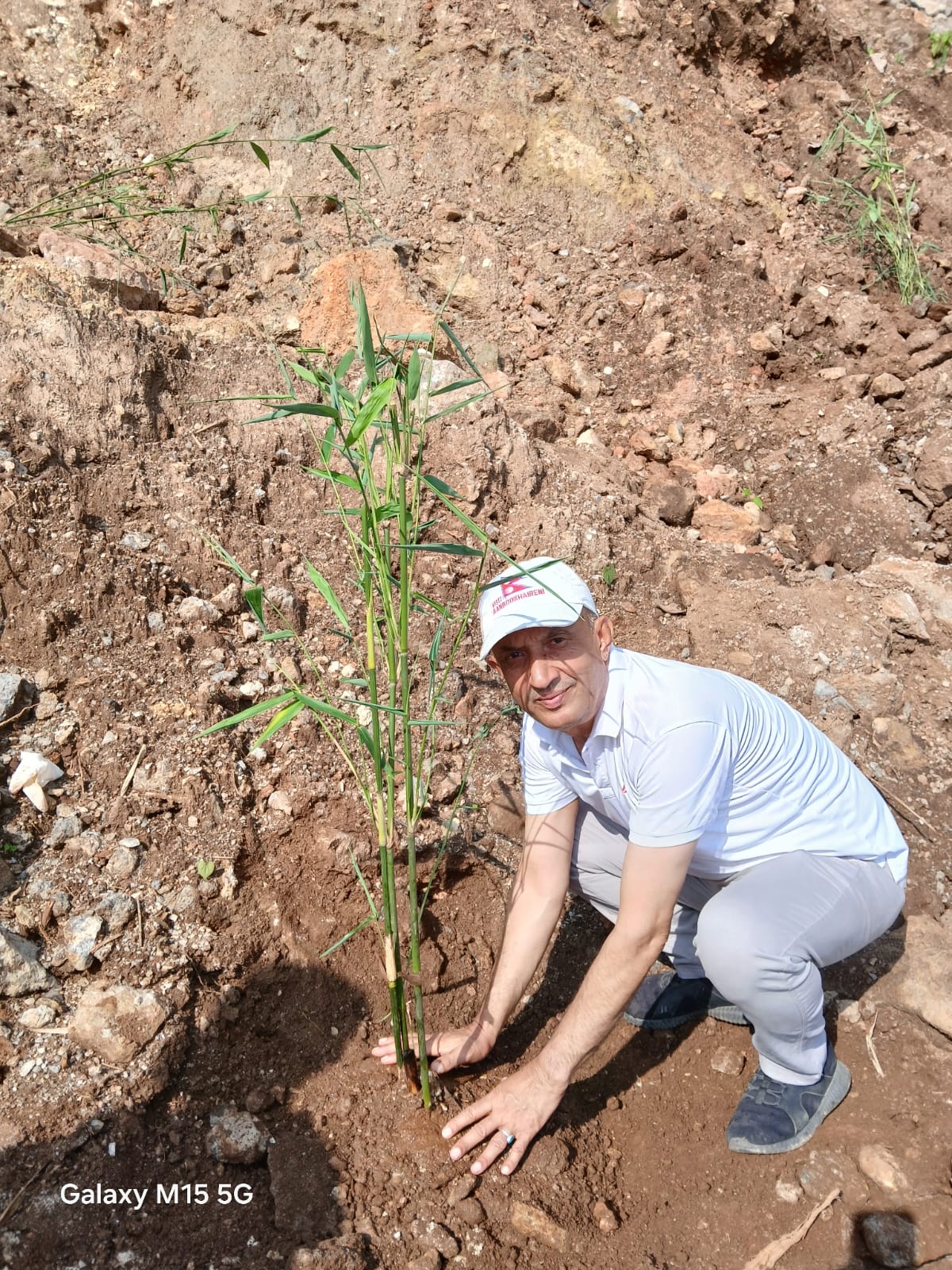 Tree Plantation Programme