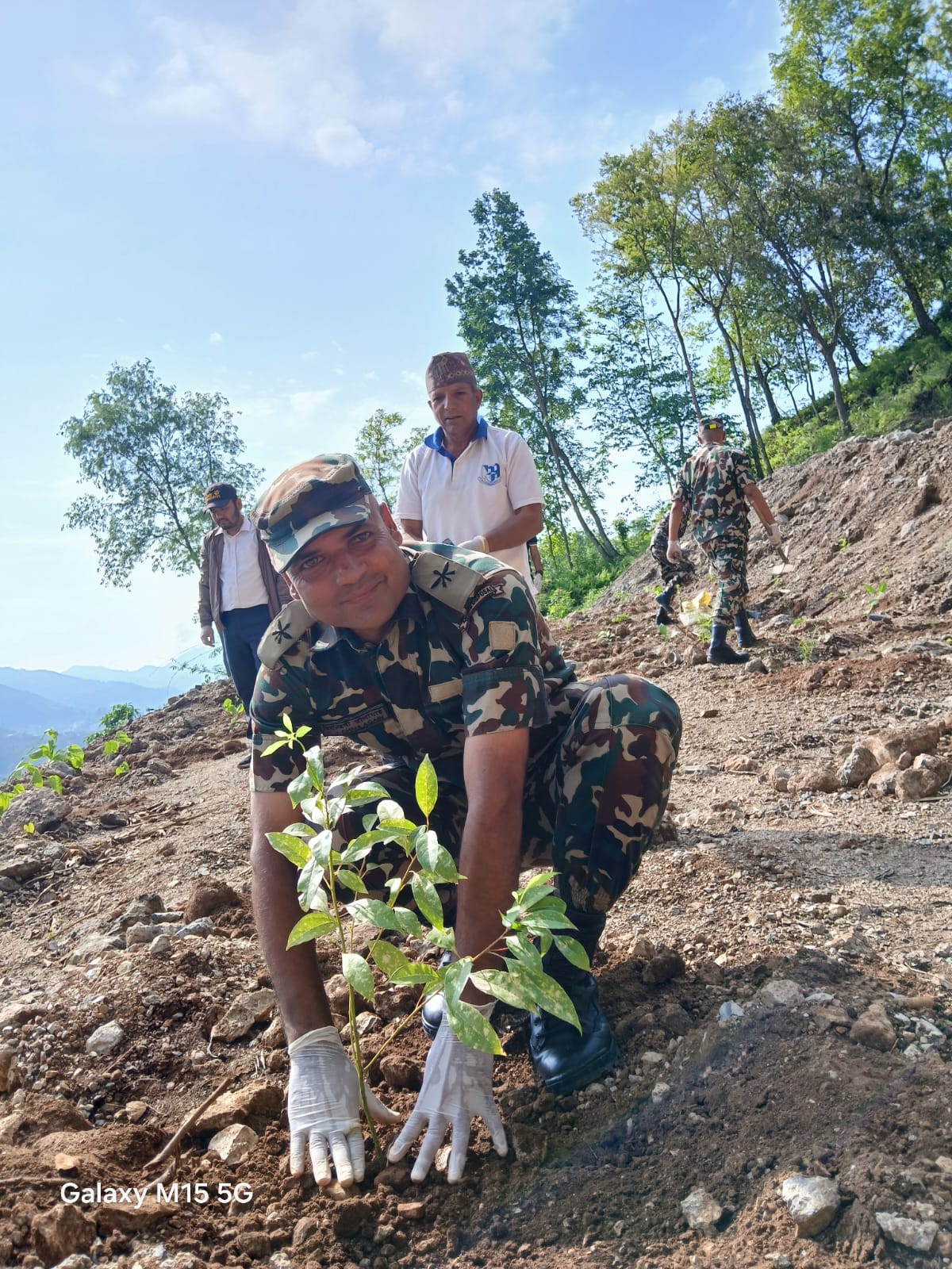 Tree Plantation Programme