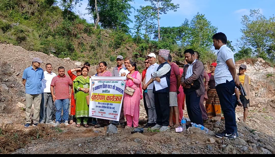 Tree Plantation Programme