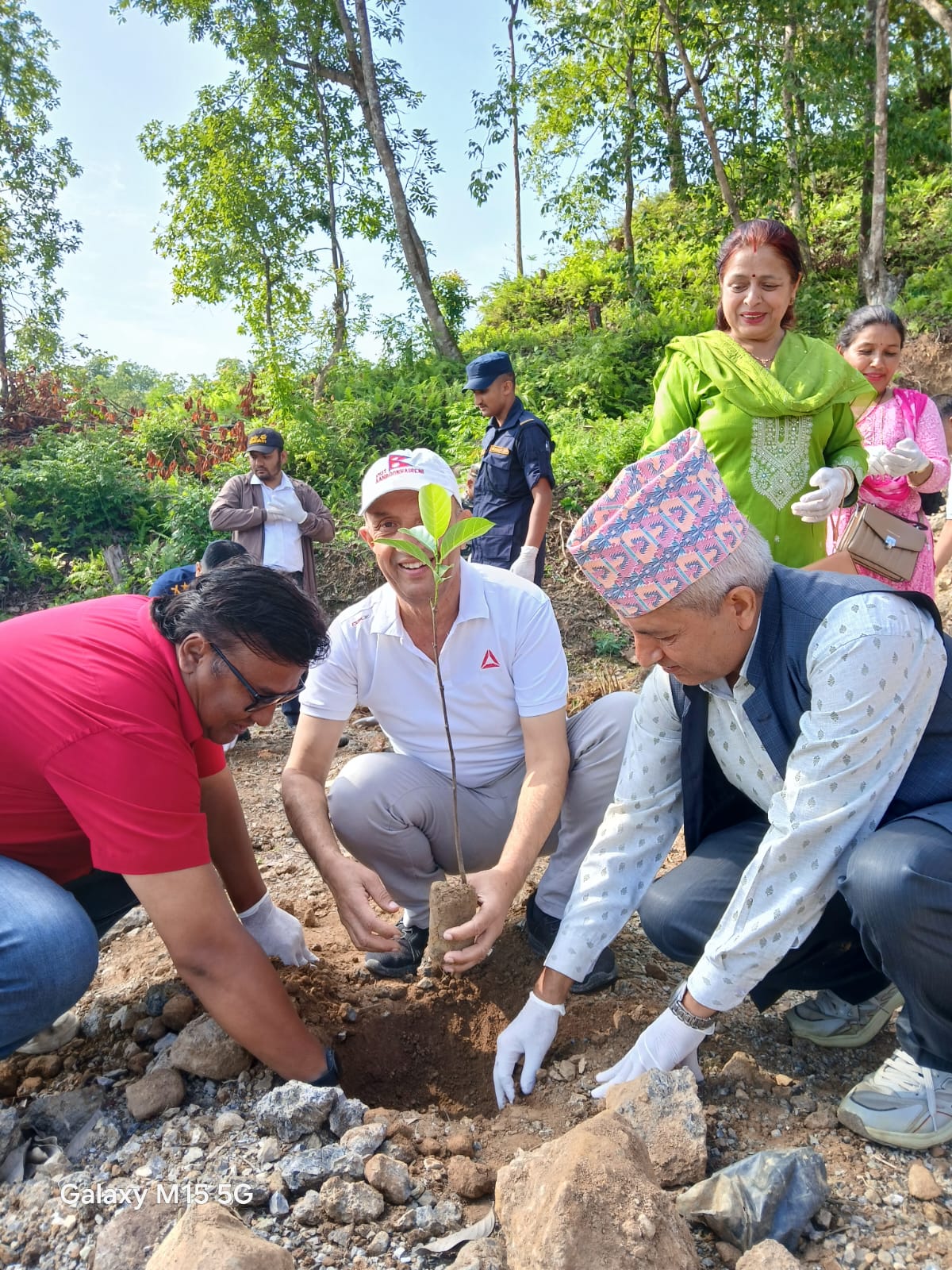 Tree Plantation Programme